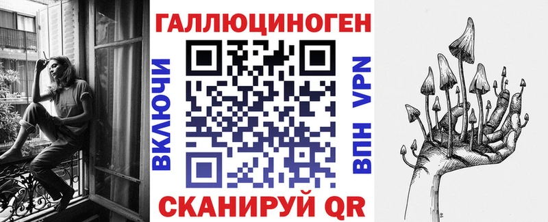 закладки  Дедовск  Псилоцибиновые грибы Psilocybe 